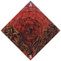 AINSOPH - Affection & Vengeance (Blood/Smoke Vinyl with Obi Strip)