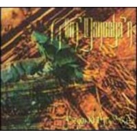 AM GANESHA - Beyond the soul