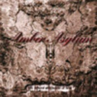AMBER ASYLUM - The natural philosopy of love