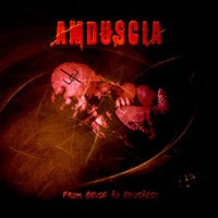 AMDUSCIA - From abuse to apostasy