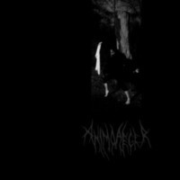 ANIMO AEGER - Impuls