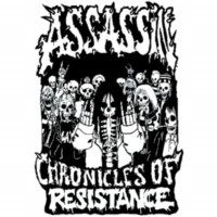 ASSASSIN - Chronicles of resistance