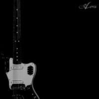 AVES - Feathers - digi