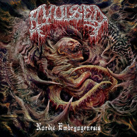 AVULSED - Nordic Embryogenesis