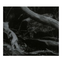 BARREN CANYON - World of Wounds