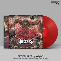 BECERUS - Troglodyte