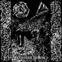 BENIGHTED LEAMS - Obombrid Welkins