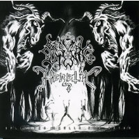 BESTIAL SUMMONING - HERETIC - Splitting Skulls For Satan
