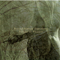Beyond Sensory Experience - Pursuit Of Pleasure