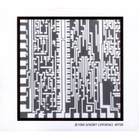 Beyond Sensory Experience - Ratan