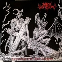 BLACK WITCHERY - Desecration of the holy kingdom - FLAG