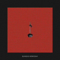 BLINDEAD - Niewiosna 