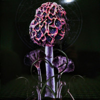BLUT AUS NORD - Hallucinogen - Ltd