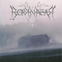 BORKNAGAR - Borknagar