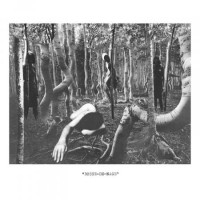 BOSSE-DE-NAGE - S/t