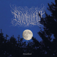 BROUILLARD - BROUILLARD (V)