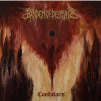 BURDEN OF DESPAIR - Confutatis