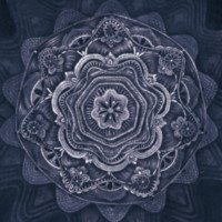 CALENDULA - Aftermaths