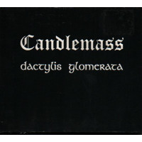 CANDLEMASS - Dactylis glomerata