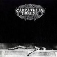 CARPATHIAN FOREST - Black shining leather