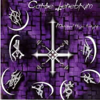CARPE TENEBRUM - Mirrored hate painting