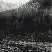 CARVED CROSS - Carved Cross