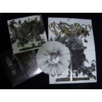 CELESTIA - Dead Insekta Sequestration