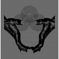 CHAOS ECHOES - Transient