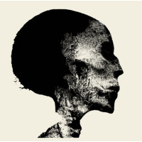 CHAOS ECHOES - Transient