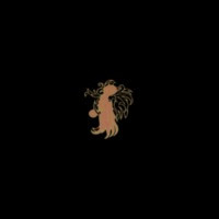 CHRISTICIDE - Christicide - LP