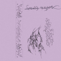COFFRET DE BIJOUX - La l'dépendåancsee ause kelées magiquey queee leyn florquas arkions'...