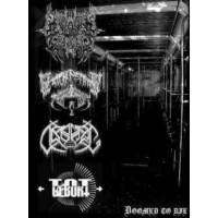 COMPILATION - Doomed to die - A5