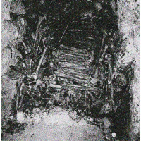 CTENIZIDAE - ...Of Rotting Soil and Spine