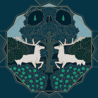 DARK SANCTUARY - Cernunnos (black vinyl - slight sleeve damage)