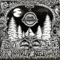 DARK TRANQUILLITY - A Moonclad Reflection