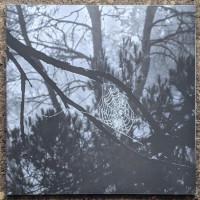 DEGREDO - split with CANTOS DE MUERTE