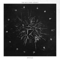 DER WEG EINER FREIHEIT - Unstille (Color Vinyl)