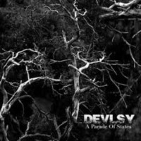 DEVLSY - A Parade of States