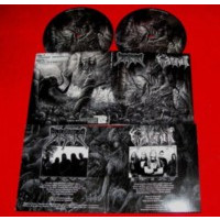 DISMA - WINTERWOLF - Split picture 7"
