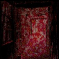 ELIMI - Asylum