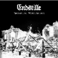 ENDSTILLE - Operation wintersturm