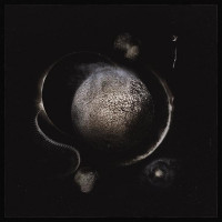ENTHRONED - Cold Black Suns 