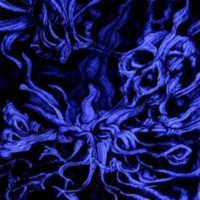 ESOTERICA - Aseity