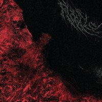 FLAGELO - Insaciable 