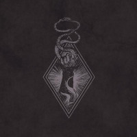 FYRNASK / VETTER  - Nattverk