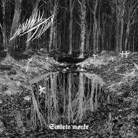 GENNEM TAGEN - Sindets M​orke