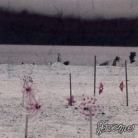 GNOME - Silent Scream