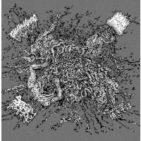 Golem Of Gore / Human Pancake / Yakisoba / Serotonin Leakage - The Ultimate Torture Of Modern Music