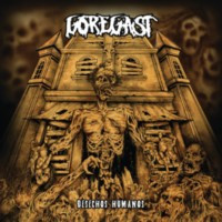 GOREGAST - Desechos Humanos