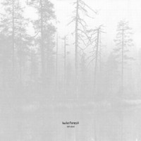 HATE FOREST - The curse - LP